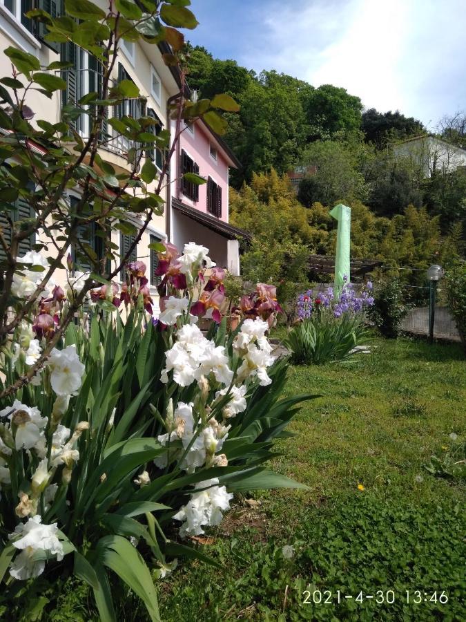Alle Rose Barcolane Trieste Exterior photo